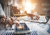 其他知识产权